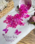 ⁦فراشة اكليرك⁩ - الصورة ⁦2⁩