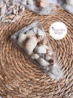 ⁦قواقع طبيعيه⁩ - الصورة ⁦2⁩