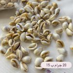 صدف صناعي بيتخيط
