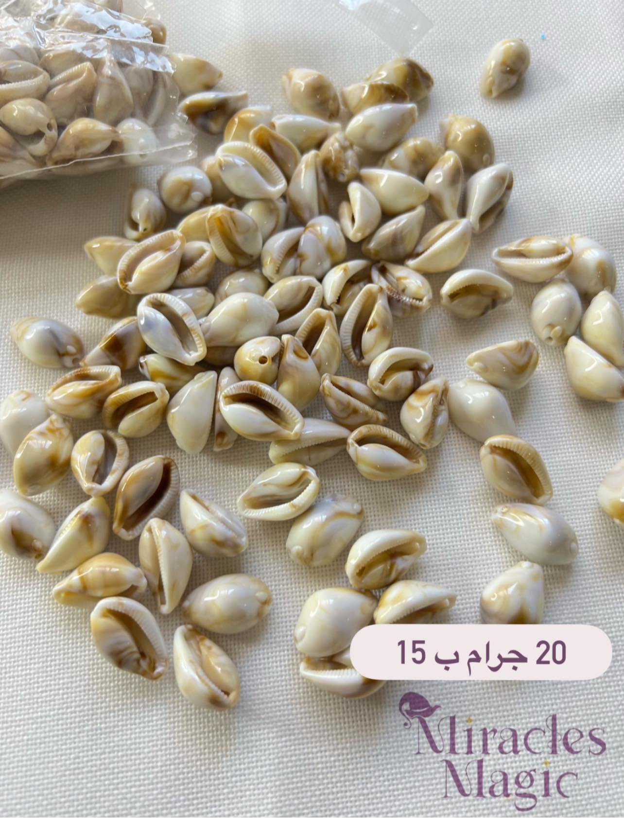357750544_2604545586349788_3419977653354944476_n (1) صدف صناعي بيتخيط - الصورة 1