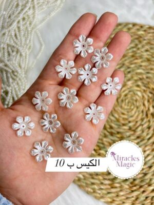 وردة أكليرك صغيرة
